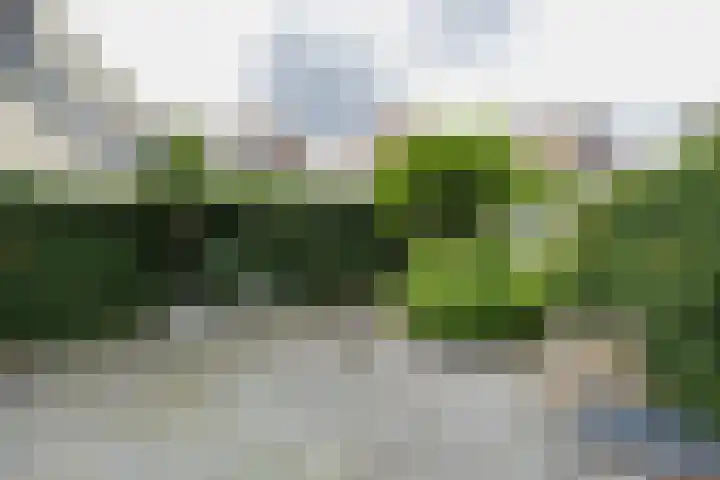 Jac. P. Thijsselaan 86 Oegstgeest thumbnail 30