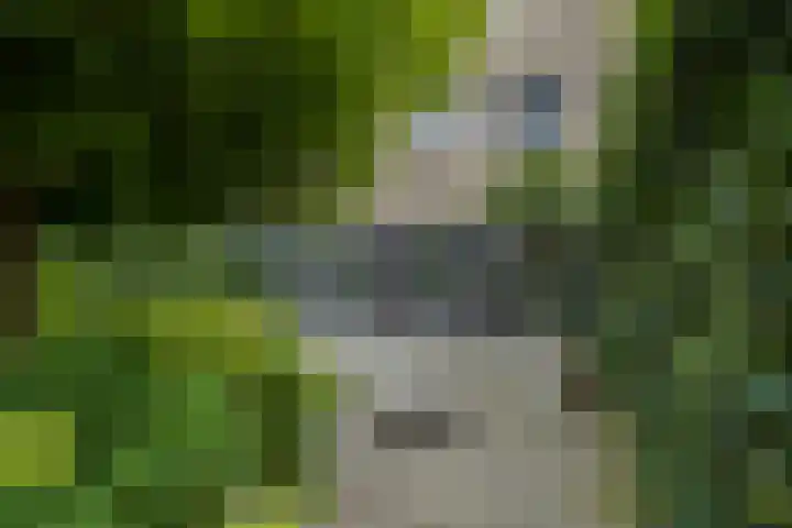 Jac. P. Thijsselaan 86 Oegstgeest thumbnail 32