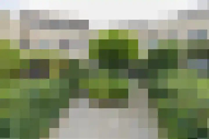 Jac. P. Thijsselaan 86 Oegstgeest thumbnail 33