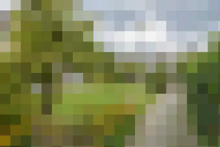 Jac. P. Thijsselaan 86 Oegstgeest thumbnail 35