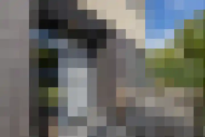 Jac. P. Thijsselaan 86 Oegstgeest thumbnail 4