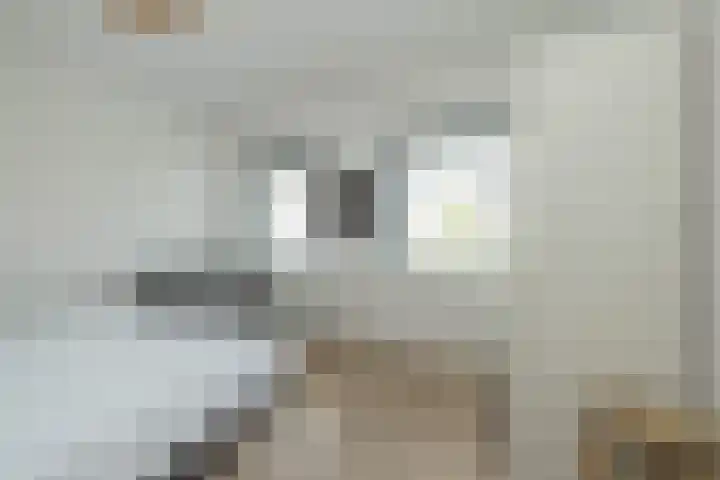 Jac. P. Thijsselaan 86 Oegstgeest thumbnail 52