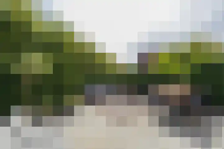 Jac. P. Thijsselaan 86 Oegstgeest thumbnail 6