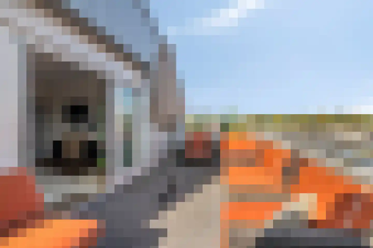 Jac.P. Thijsselaan 90 Veenendaal thumbnail 36