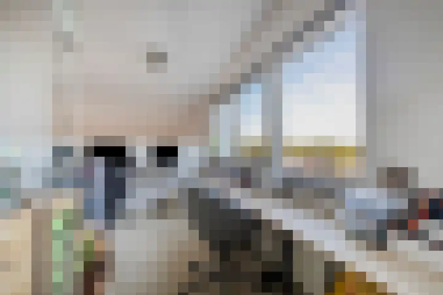 Jac.P. Thijsselaan 90 Veenendaal thumbnail 47