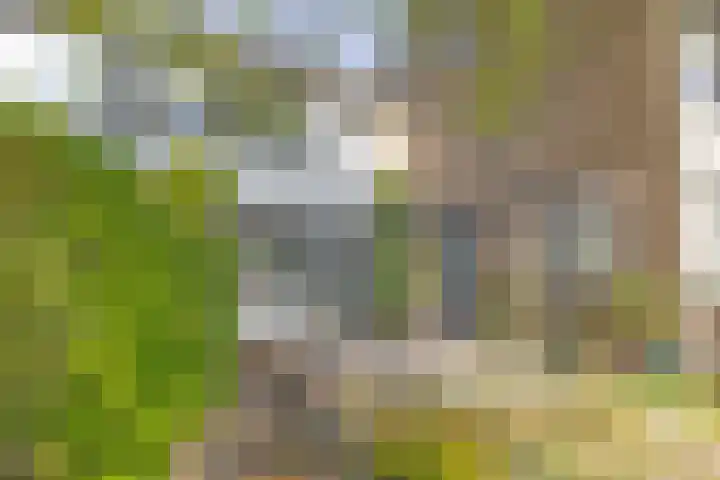 Jac. P. Thijssepark 115 in Naarden