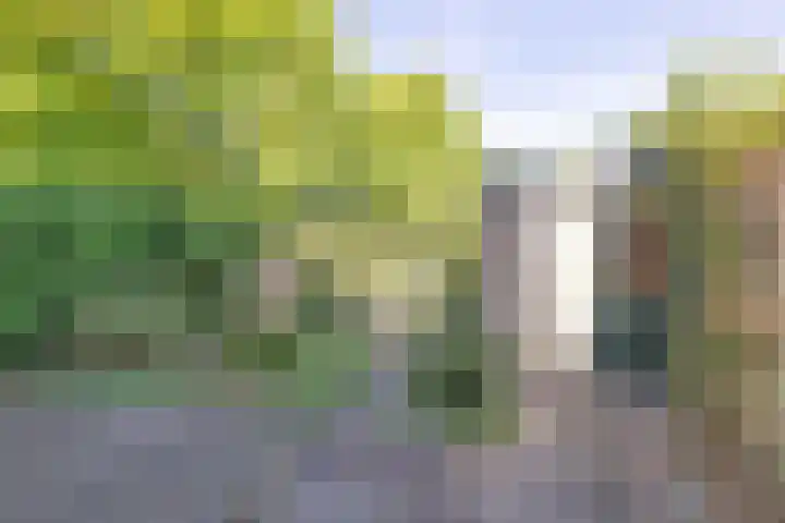 Jac. P. Thijssepark 115 Naarden thumbnail 21