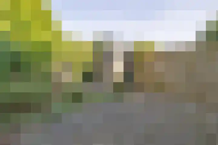 Jac. P. Thijssepark 115 Naarden thumbnail 22