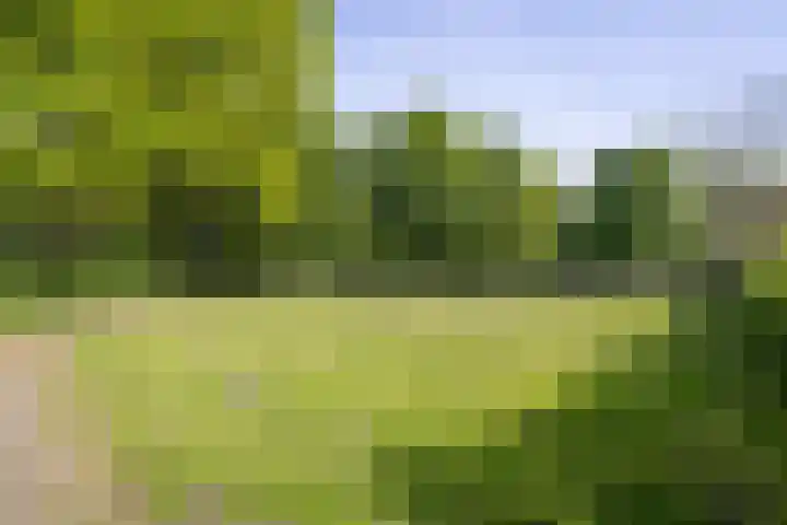 Jac. P. Thijssepark 115 Naarden thumbnail 24