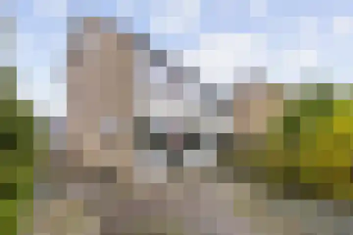 Jac. P. Thijssepark 271 Naarden thumbnail 27