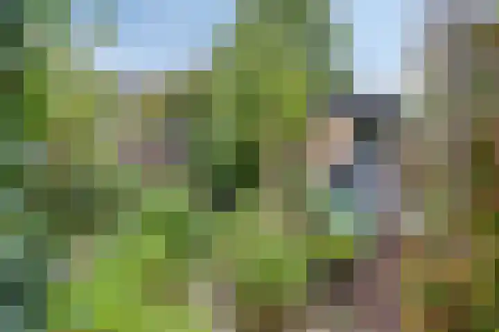 Jac. P. Thijssepark 351 Naarden thumbnail 40