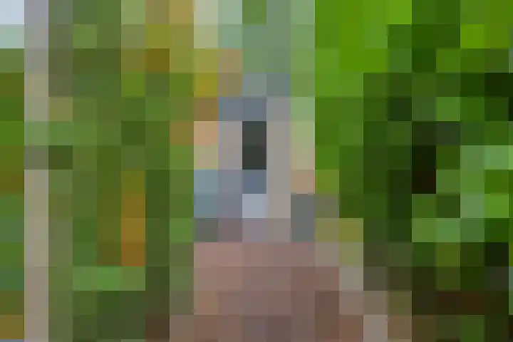 Jac. P. Thijssepark 351 Naarden thumbnail 43