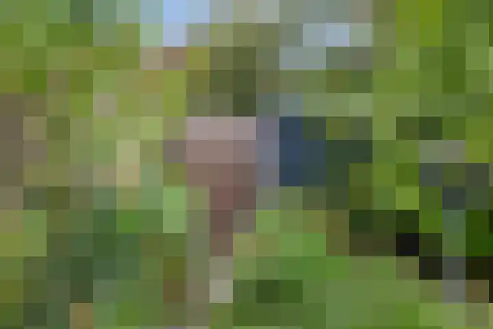 Jac. P. Thijssepark 351 Naarden thumbnail 46