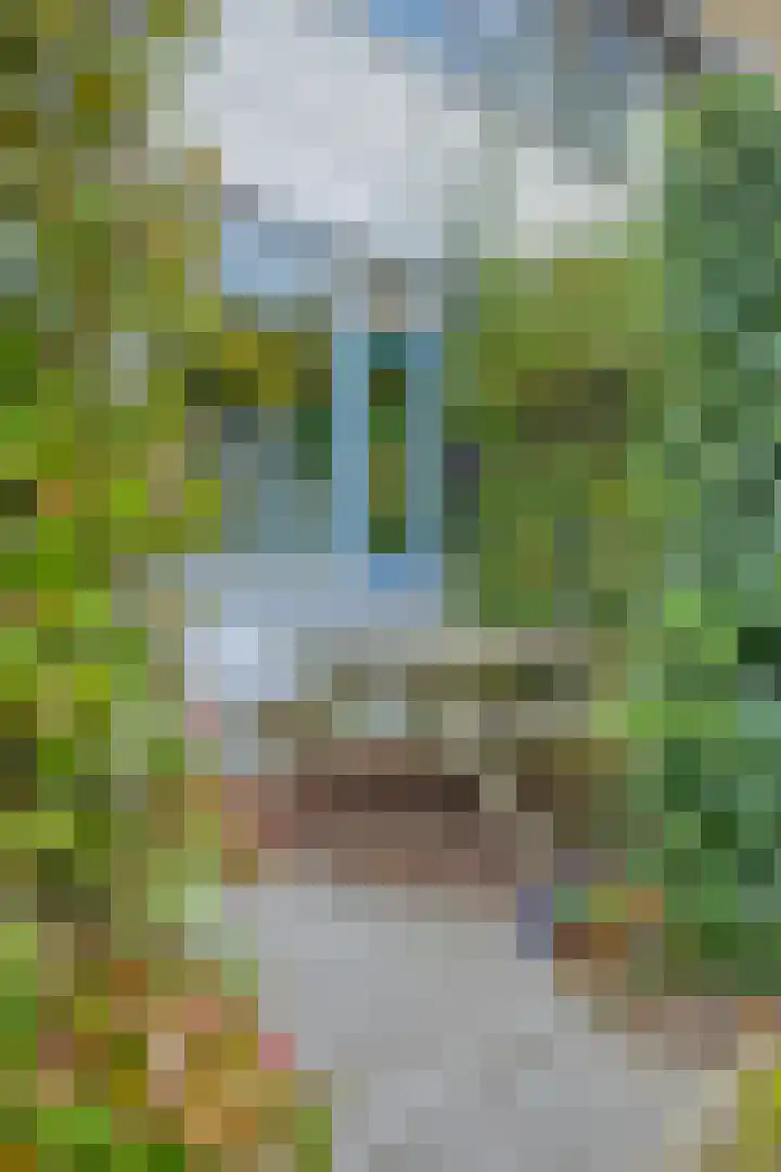 Jac. P. Thijssepark 351 Naarden thumbnail 49