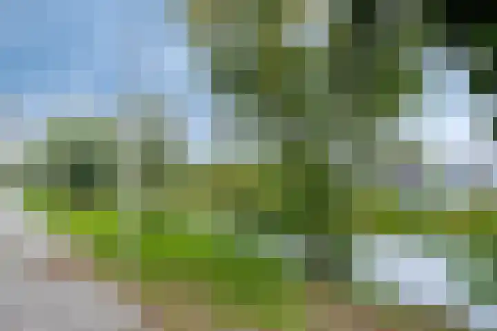 Jac. P. Thijssepark 351 Naarden thumbnail 50