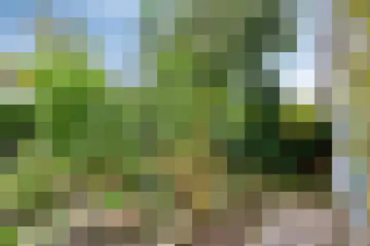 Jac. P. Thijssepark 351 Naarden thumbnail 7