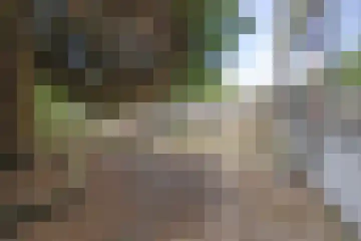 Jac. P. Thijssepark 83 Naarden thumbnail 15