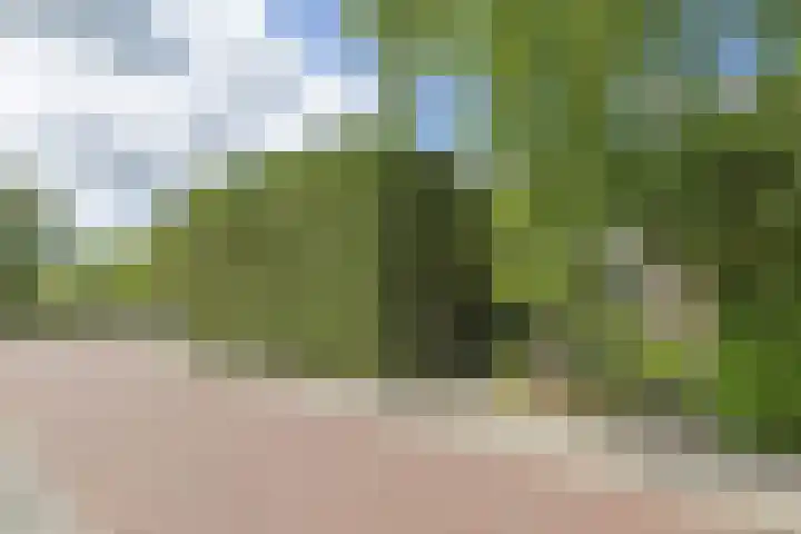 Jac. P. Thijssepark 83 Naarden thumbnail 18