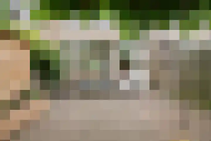 Jac. P. Thijssesingel 56 Sliedrecht thumbnail 26