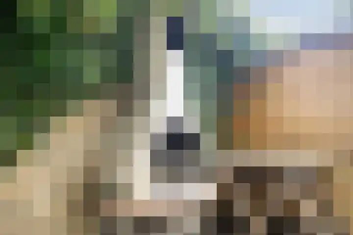 Jac. P. Thijssesingel 56 Sliedrecht thumbnail 28