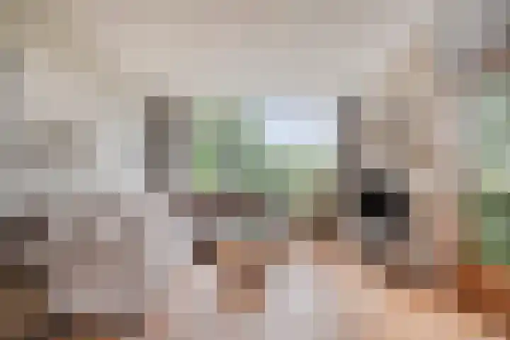 Jac. P. Thijssesingel 56 Sliedrecht thumbnail 4