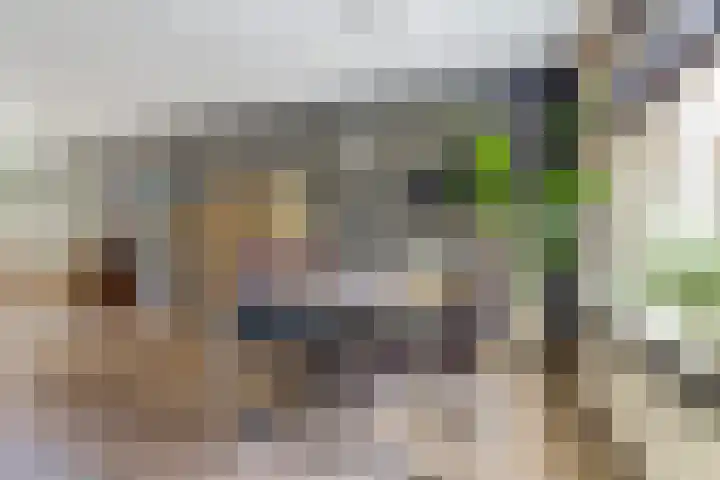 Jac. Perkstraat 15 Harderwijk thumbnail 11