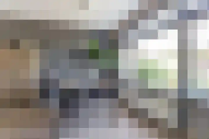 Jac. Perkstraat 15 Harderwijk thumbnail 12