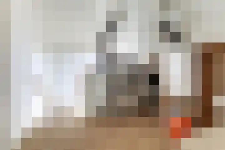 Jac. Perkstraat 15 Harderwijk thumbnail 31