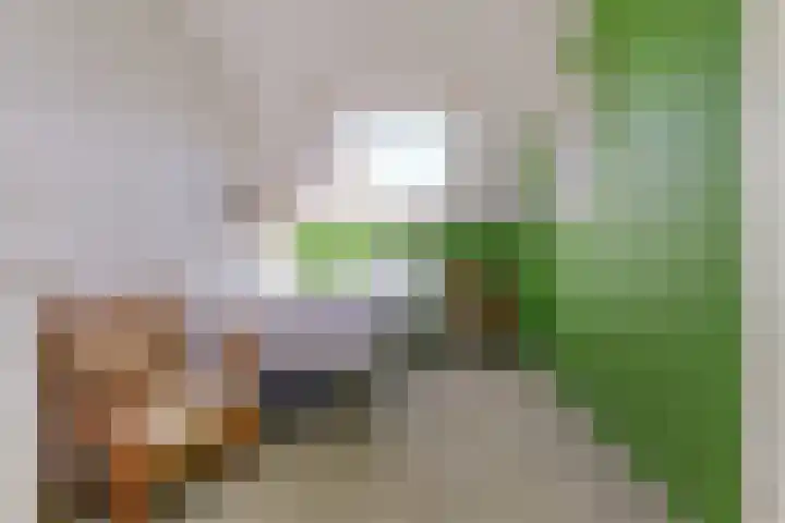 Jac. Perkstraat 15 Harderwijk thumbnail 34