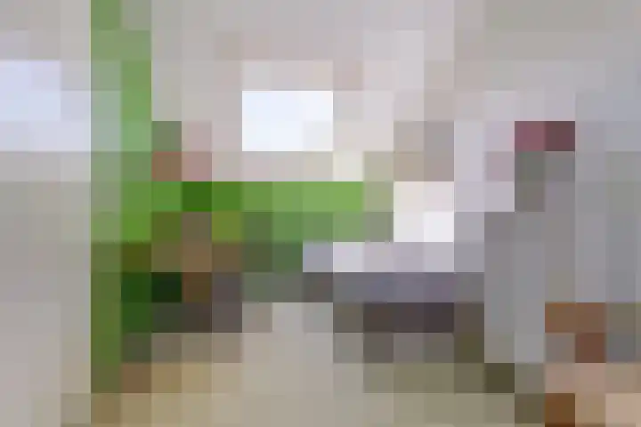 Jac. Perkstraat 15 Harderwijk thumbnail 35