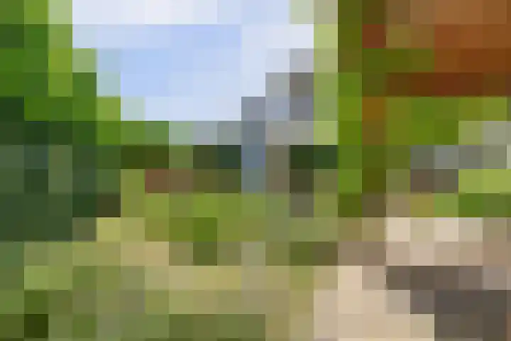 Jac. Perkstraat 15 Harderwijk thumbnail 37