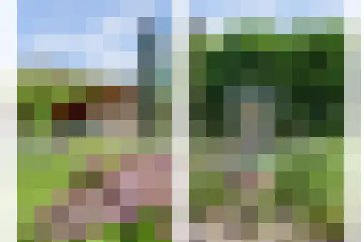 Jac. Perkstraat 15 Harderwijk thumbnail 38