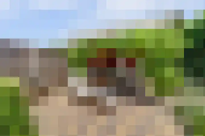 Jac. Perkstraat 15 Harderwijk thumbnail 39