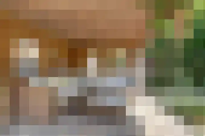 Jac. Perkstraat 15 Harderwijk thumbnail 41