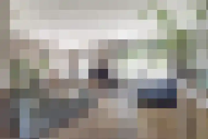 Jac. Perkstraat 15 Harderwijk thumbnail 6