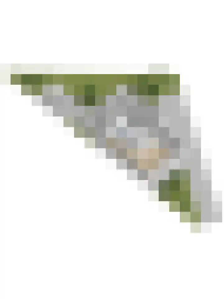 Jac. Perkstraat 15 Harderwijk thumbnail 61