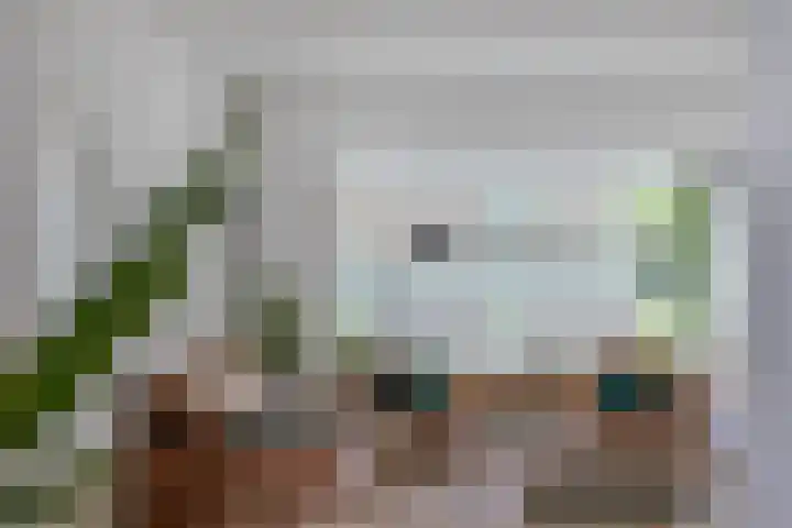 Jac. Perkstraat 24 Harderwijk thumbnail 21