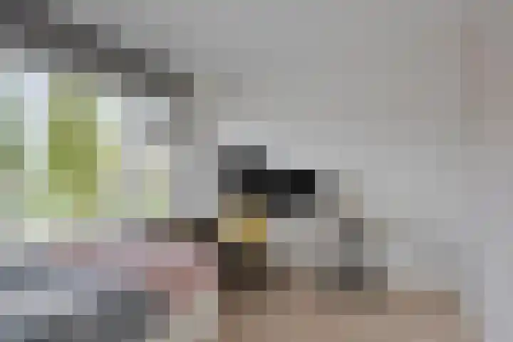 Jac. Perkstraat 24 Harderwijk thumbnail 34