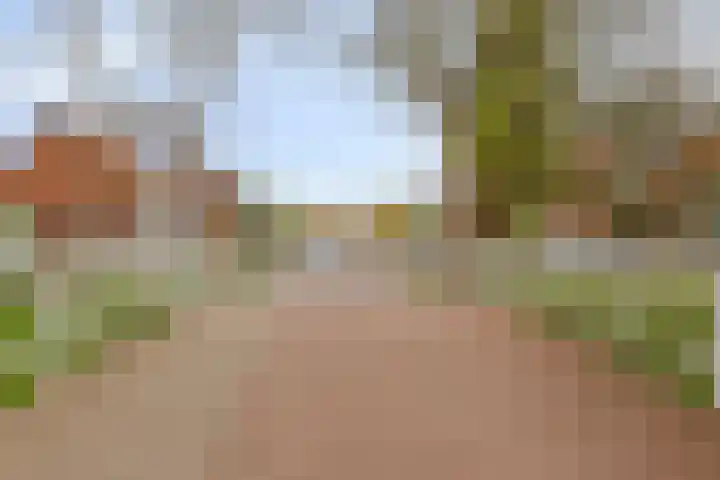 Jac. Perkstraat 24 Harderwijk thumbnail 47
