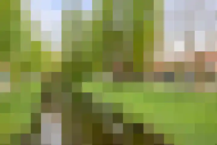 Jac. Perkstraat 24 Harderwijk thumbnail 48