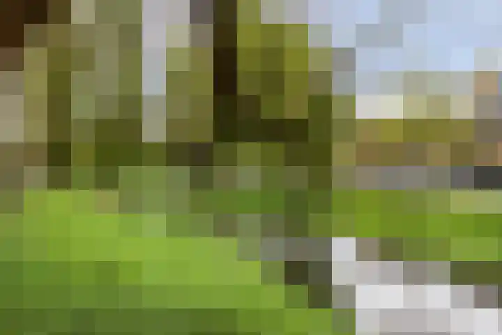 Jac. Perkstraat 24 Harderwijk thumbnail 49
