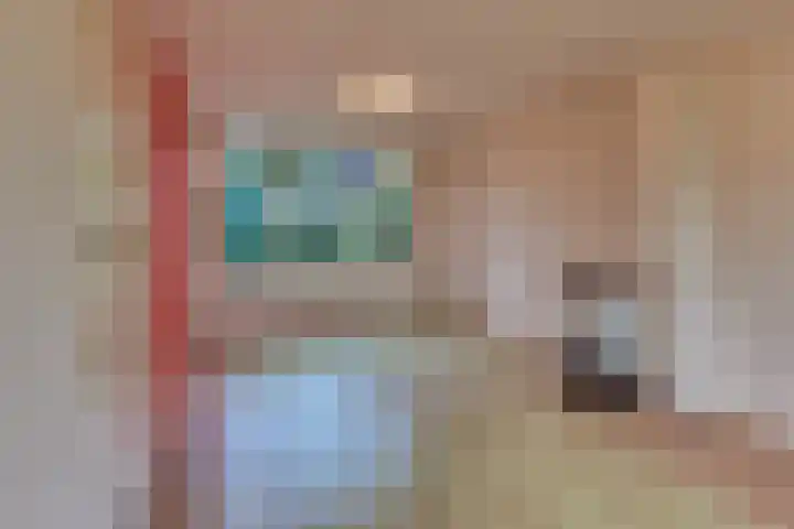 Jac. Perkstraat 4 Harderwijk thumbnail 11