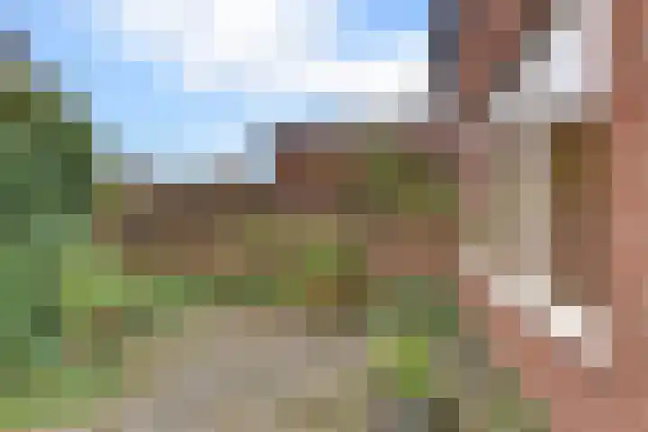 Jac. Perkstraat 4 Harderwijk thumbnail 31