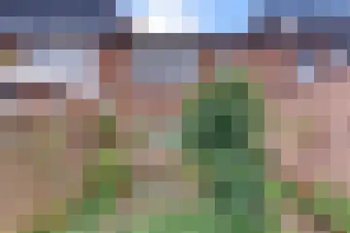 Jac. Perkstraat 4 Harderwijk thumbnail 33