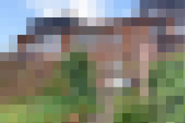 Jac. Perkstraat 4 Harderwijk thumbnail 34
