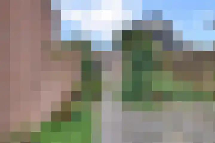 Jac. Perkstraat 4 Harderwijk thumbnail 35