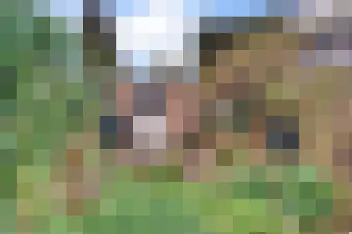 Jac. Perkstraat 4 Harderwijk thumbnail 38