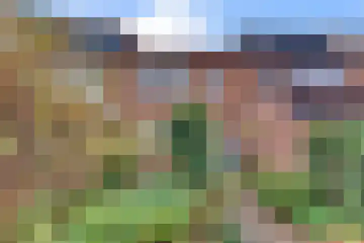 Jac. Perkstraat 4 Harderwijk thumbnail 4