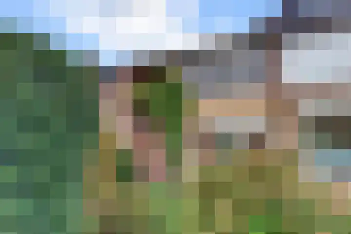 Jac. Perkstraat 4 Harderwijk thumbnail 41