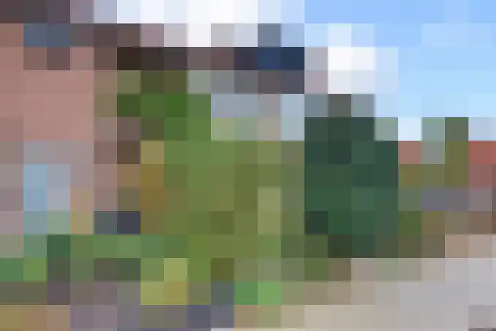 Jac. Perkstraat 4 Harderwijk thumbnail 42
